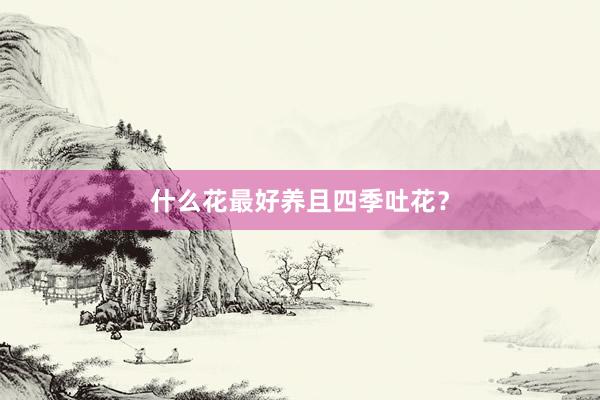 什么花最好养且四季吐花？